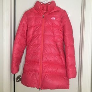 The north face polar journey parka down puffer